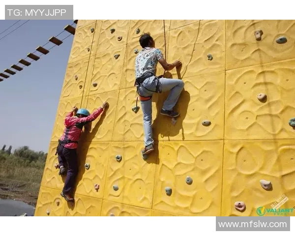 南京攀岩队在全国攀岩团队协作排行榜中荣获第九名的佳绩展示团队实力